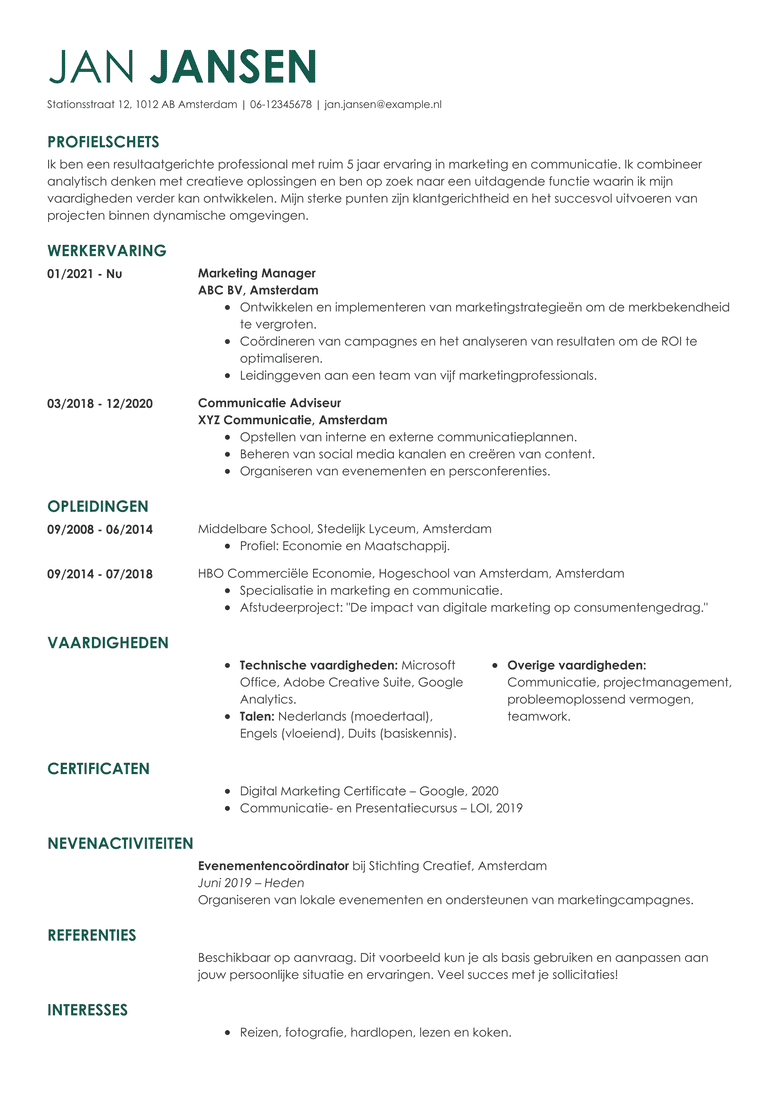 Professional CV template
