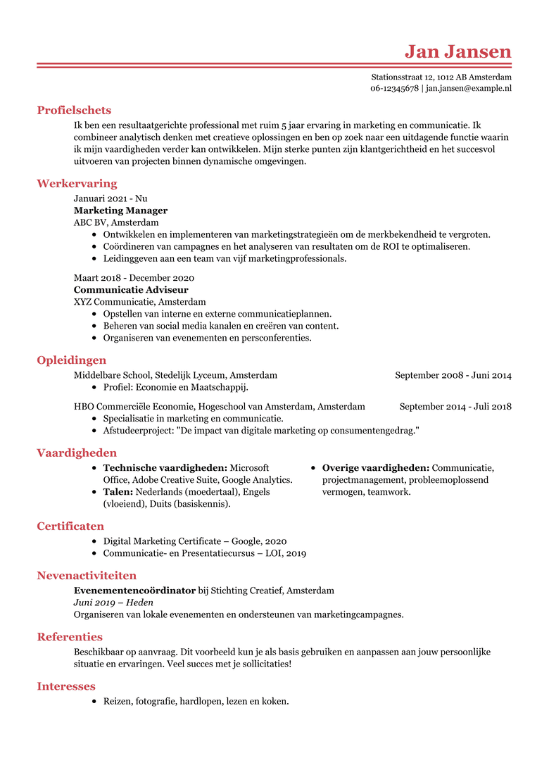 Professional CV template