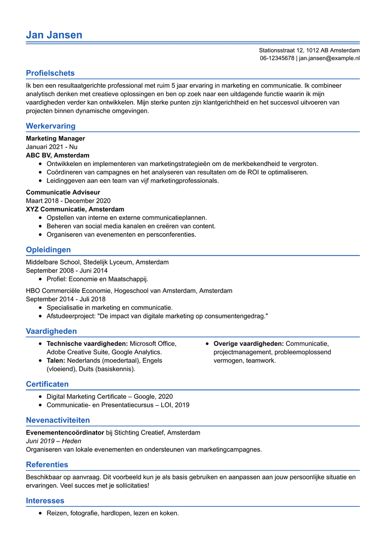 Professional CV template