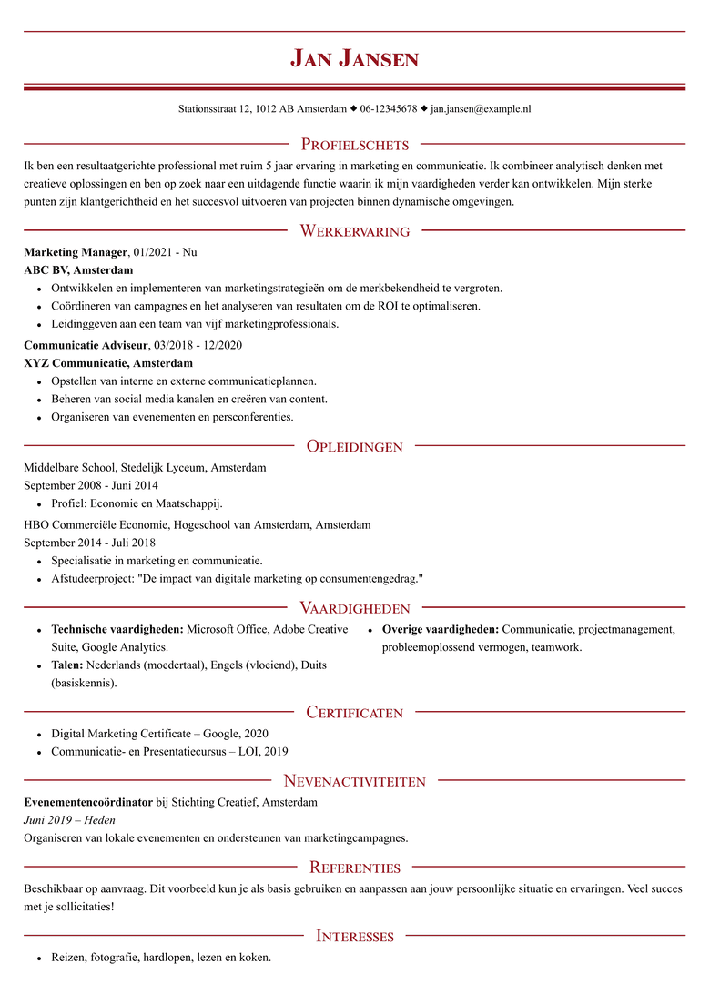 Professional CV template