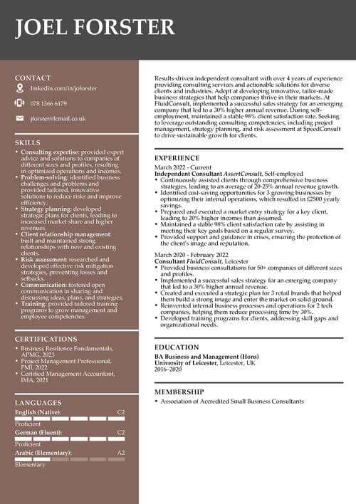 Eksempel på konsulent-CV