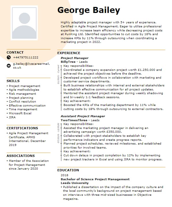 Profesjonell 5 CV-mal fra LiveCareer