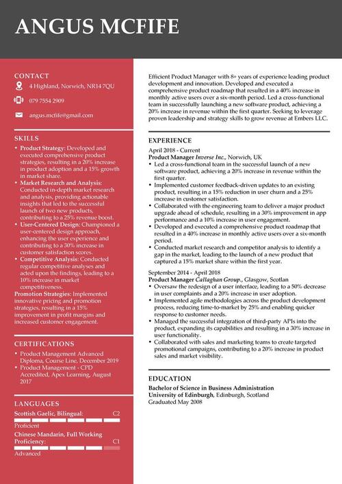 eksempel på CV for leder