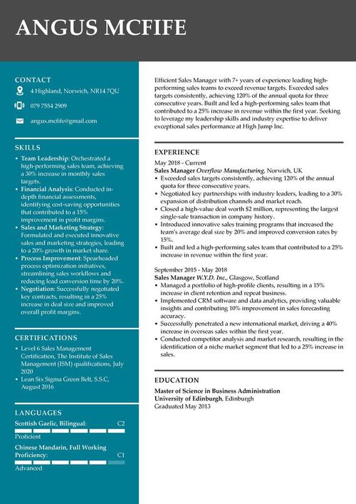 eksempel på CV for leder